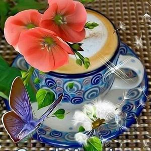 Meet your Posher, Sandy